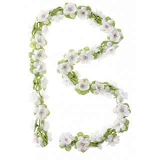 Basil Kurvpynt Ranke Hvite Blomster Kurvpynt